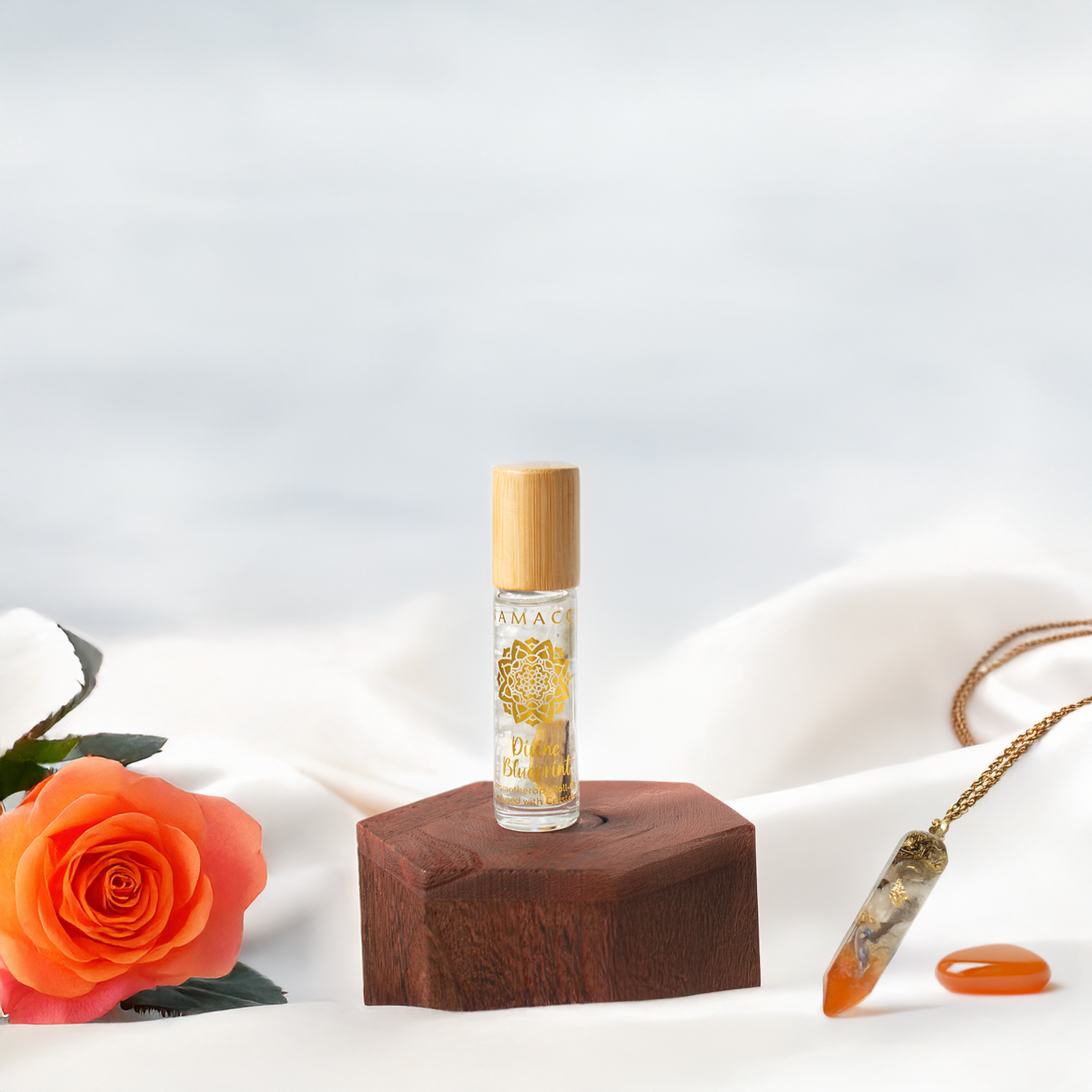 Juliette x Namacci Collection Bundle